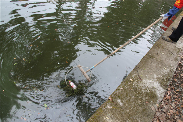 1597303916509926.jpg 2017090416325290.jpg